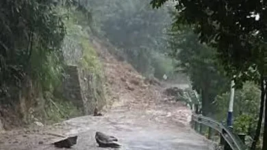 11 killed in landslides following heavy rains in China