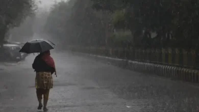 Monsoon has arrived late, right: Significant rainfall in 148 talukas of Gujarat