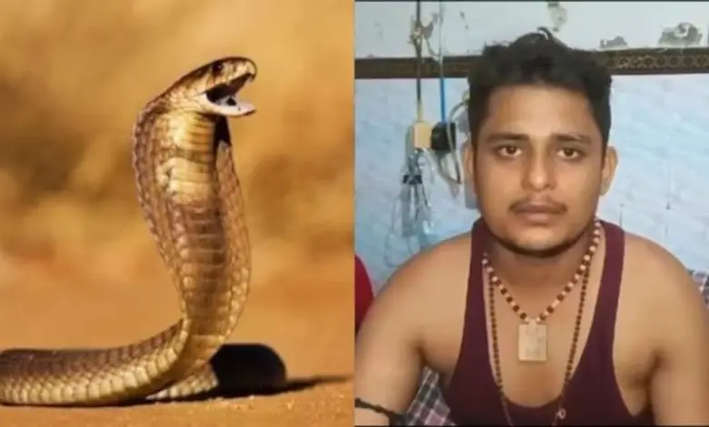 The same snake bit the youth six times in one month in UP, he said in his dream that still...