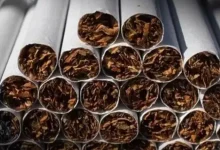 The government may impose restrictions on tobacco companies, the shares of these companies fell