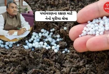 Agriculture Minister Raghavji Patel discusses benefits of nano urea for soil and environment