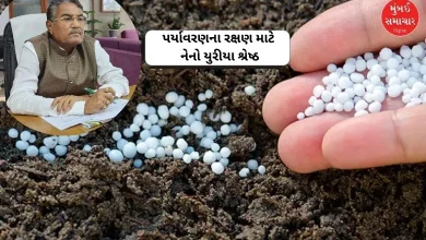 Agriculture Minister Raghavji Patel discusses benefits of nano urea for soil and environment