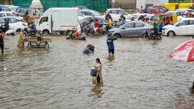 Kutch rain update, Gujarat