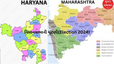 Assembly Election 2024: BJP has intensified the exercise for candidate selection for Maharashtra and Haryana elections.