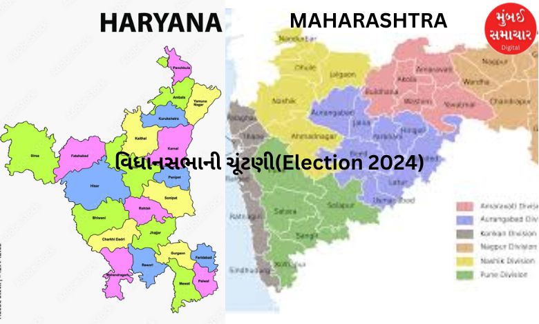 Assembly Election 2024: BJP has intensified the exercise for candidate selection for Maharashtra and Haryana elections.