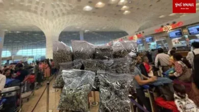 At Mumbai Airport Rs. 10 lakh ganja seized tourist arrested