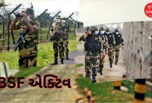 BSF active mode bangladesh situation foreign minister meetings