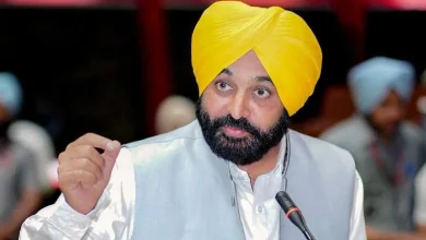 Punjab Chief Minister breaks silence on attack on Hindu temple in Canada, condemns incident