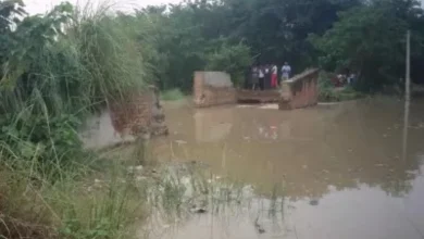 one more bridge collapsed in Bihar's Raghopur-Vaishali