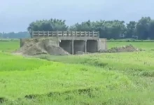 Know Secret of Bridge built in field without river or canal in Bihar