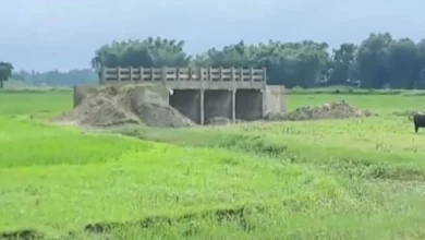 Know Secret of Bridge built in field without river or canal in Bihar