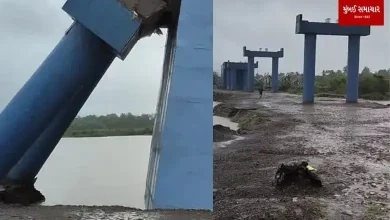 Bridge corruption in Gujarat comes out like frogs in rainwater!