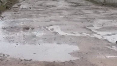 The bridge connecting Chotila and Habiyasar village collapsed like a house of cards