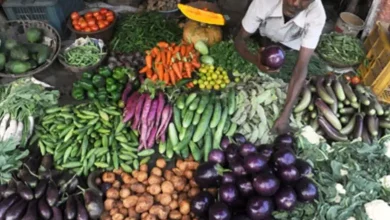 Due to heavy rains in Gujarat, vegetable income fell, prices skyrocketed