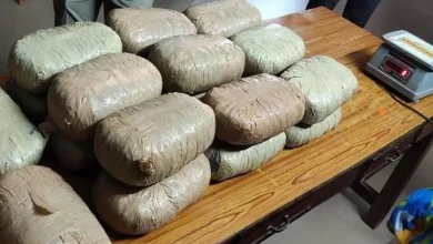 1.70 crore worth of ganja seized from post office parcel in Ahmedabad