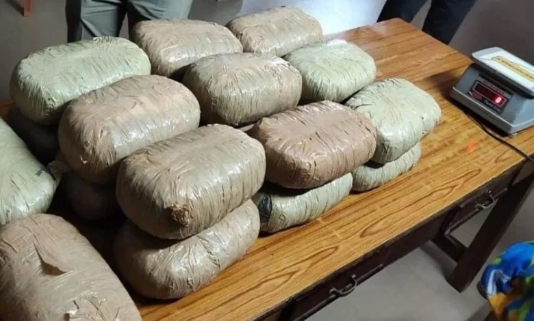 1.70 crore worth of ganja seized from post office parcel in Ahmedabad