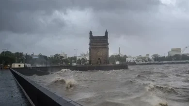 will mumbai drown by 2040 prediction