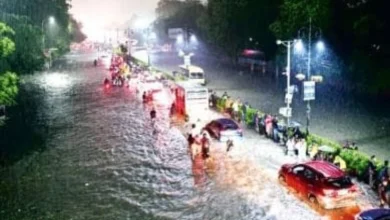 Heavy rains wreak havoc in Gujarat, 35 dead