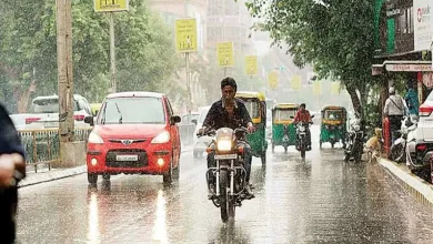 Weather Forecast for Gujarat, of light to moderate rain