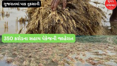 Gujarat government announced a 350 crore agricultural aid package for crop damage