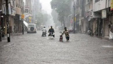 Heavy rain forecast in Gujarat today, red alert in five districts including Vadodara, Surat