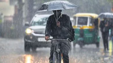 Heavy rain forecast with thunder in all districts for the next five days in Gujarat