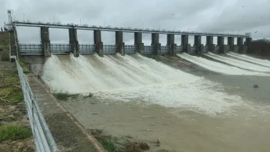 Heavy rains in Gujarat due to rare type of deep depression formed over land