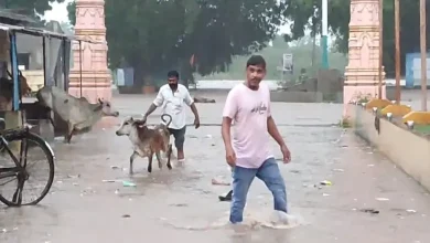 Heavy rains cause devastation in Jamnagar district