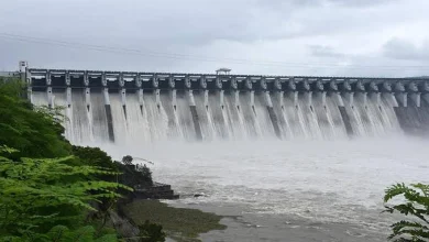 Narmada Dam's water level continues to rise, likely to fill completely in two days