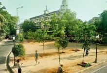 Metro-3: How Much Will It Cost To Plant Trees In Station Areas?