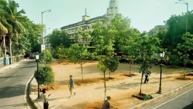 Metro-3: How Much Will It Cost To Plant Trees In Station Areas?