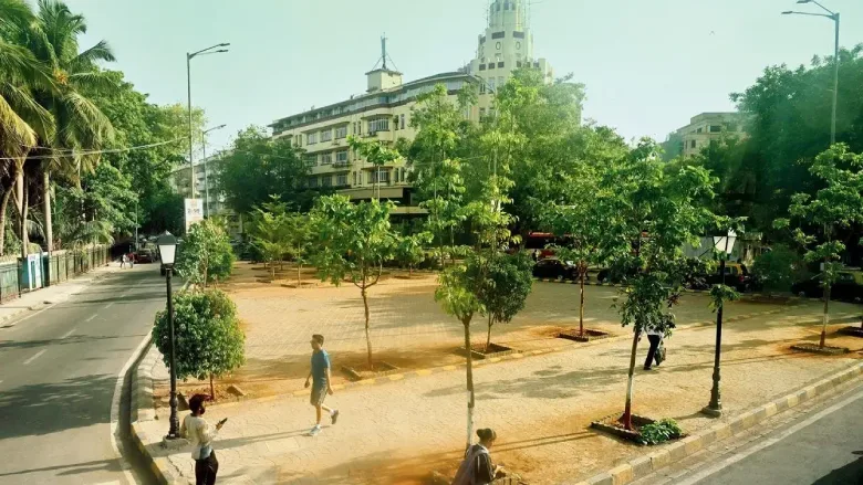 Metro-3: How Much Will It Cost To Plant Trees In Station Areas?