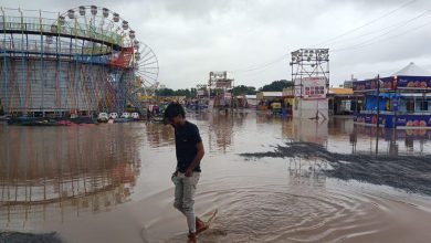 Now Meghraja's entry in the fair, the Rajkot fair has caught the eye of someone