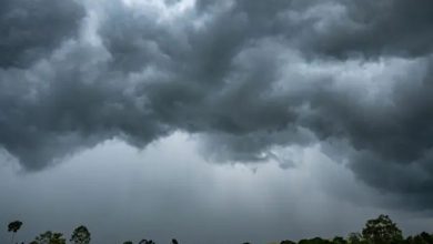 Relief to Gujarat today, rain will increase in this district from tomorrow