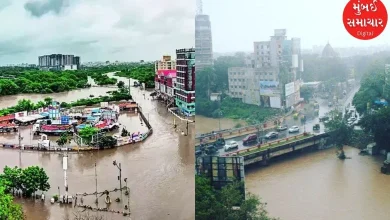 Relief to water-logged people in Vadodara city, 10 bridges opened for traffic