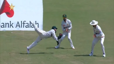 Rizwan won the hearts of the audience with a diving catch after the century