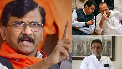 Sanjay Raut Targets Devendra Fadnavis After Nawab Malik And Ajit Pawar Meet