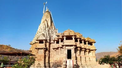 Heavy crowd of pilgrims in Dwarka-Dakor-Shamlaji due to Janmashtami