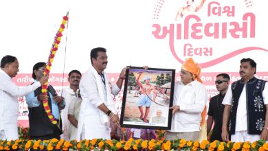 State-level World Tribal Day was celebrated under the chairmanship of Chief Minister Bhupendrabhai Patel in KhedBrahma of Sabarkantha.