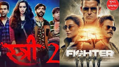 Stree-2 Beats Hrithik's Fighter, Creates This New Record…