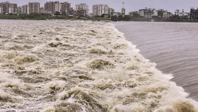 Hundred percent of season's rain fell in Gujarat, reservoirs overflowed