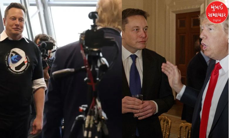 Trump's interview with Elon Musk, Trump mocks climate change