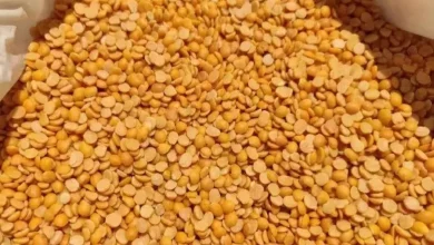 Tuvardal illigally sold in Godhra