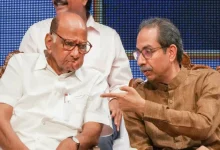 Uddhav Thackeray Sharad Pawar's tension will increase Ladki Behan Yojana