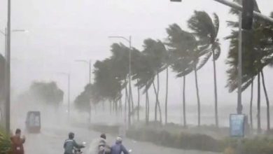 Very heavy rain forecast in Gujarat in next 24 hours, system alert