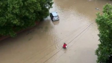 Video: Delivery purse delivered food even in knee-deep water in Ahmedabad, people applauded