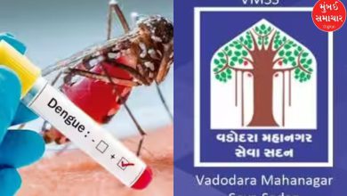 Water-borne and mosquito-borne disease outbreaks in various areas of Vadodara city