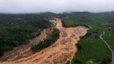 Wayanad landslides: 300 people still missing, rescue operation amid hope and despair