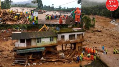 Wayanad Landslide: 308 dead, orange alert for rain in seven districts
