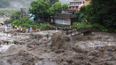 Heavy rains wreak havoc in Himachal Pradesh, bridge collapsed in Lahol Spiti, tourists stranded in Malana